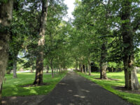 Julia Davis Park Travel Forum Reviews