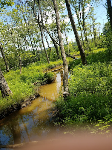 Julie J. Metz Neabsco Creek Wetlands Preserve