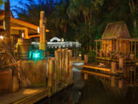Jungle Cruise Travel Forum Reviews
