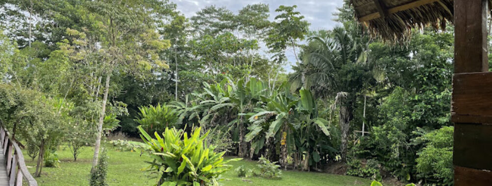 Jungle tours Travel Forum Reviews