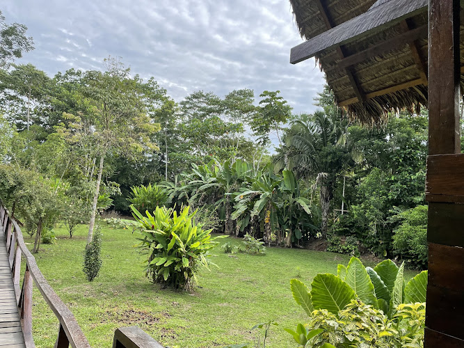 Jungle tours