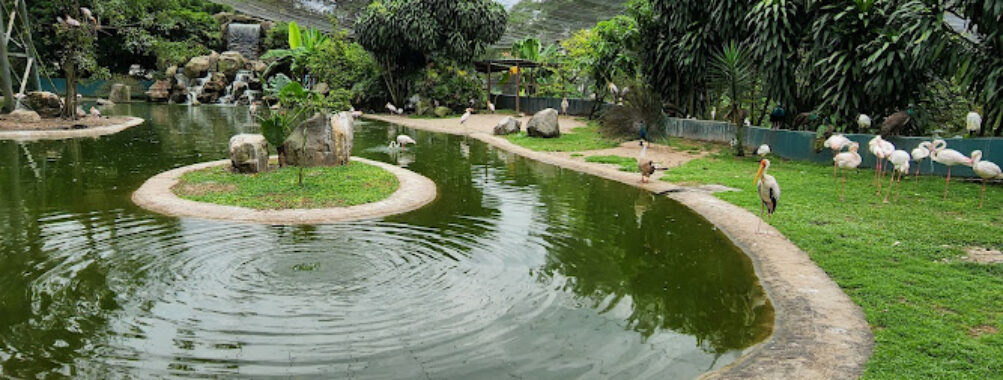KL Bird Park Travel Forum Reviews