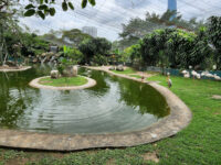 KL Bird Park Travel Forum Reviews