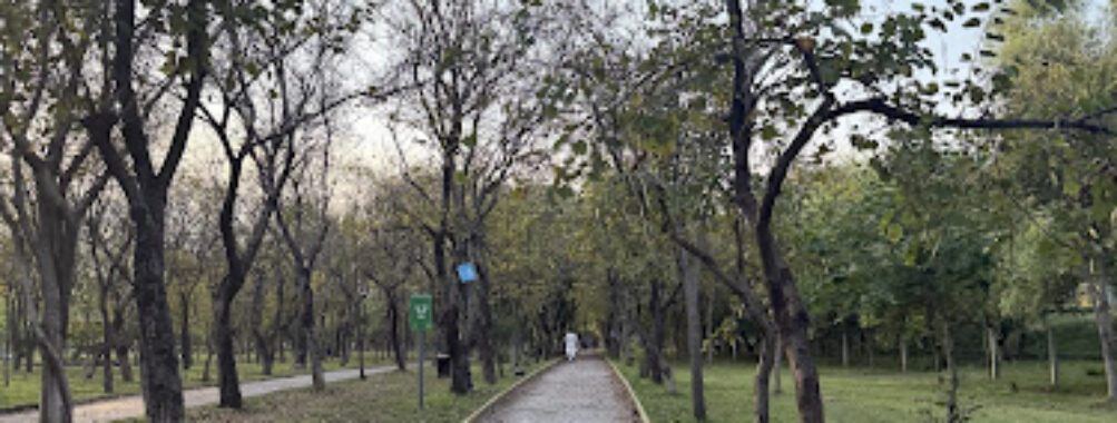 Kachnar Park Travel Forum Reviews