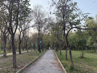 Kachnar Park Travel Forum Reviews
