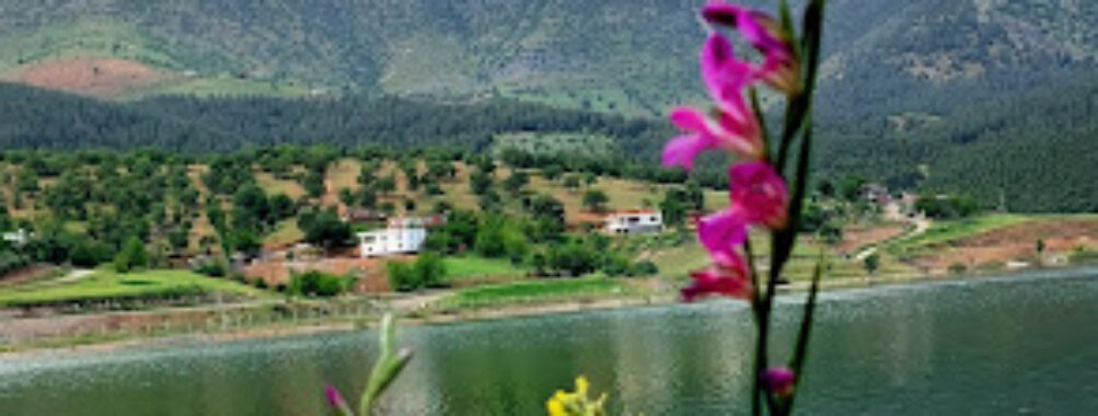 Kahramanmaraş merkez Travel Forum Reviews