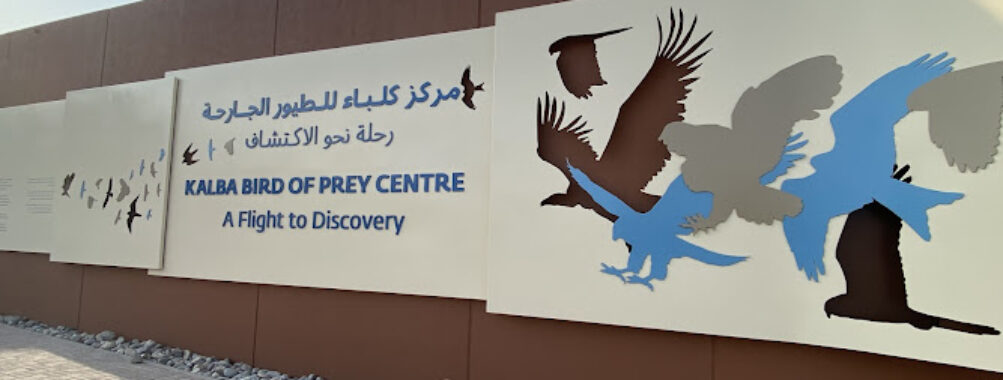 Kalba Bird of Prey Center Travel Forum Reviews