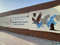 Kalba Bird of Prey Center Travel Forum Reviews
