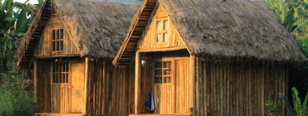 Kalitusi Nature Resort Travel Forum Reviews