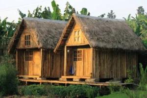 Kalitusi Nature Resort