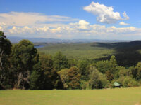 Kalorama Park Travel Forum Reviews
