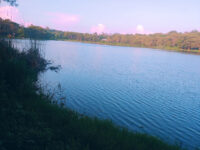 Kalundu Eco Park Travel Forum Reviews
