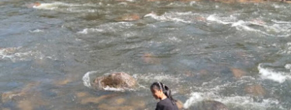 Kampot Province Travel Forum Reviews