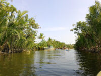 Kampot and Kep Day Tours with Mr.Sa Travel Forum Reviews