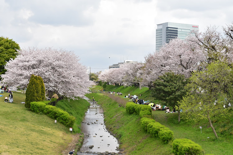 Kanagawa Prefectural Sagami Sansen Park
