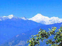Kanchendzonga national park Travel Forum Reviews