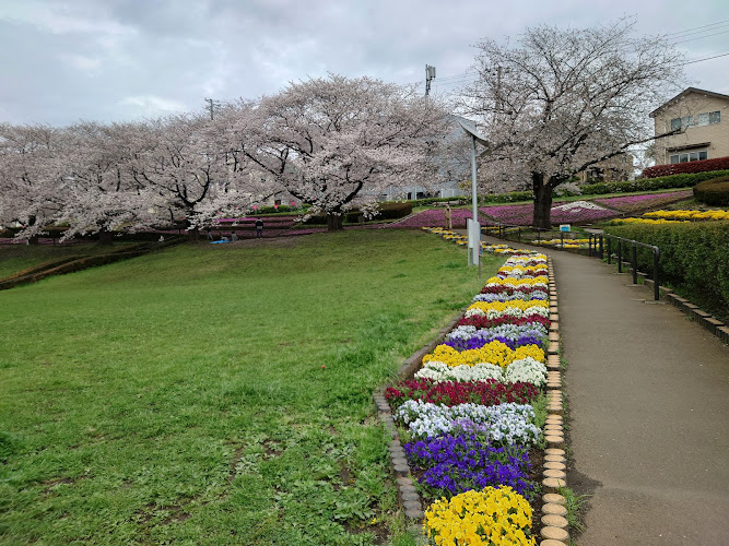 Kanigasawa Park