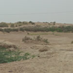Kao jo Daro