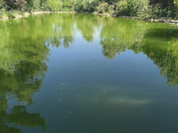 Kapıçam Nature Park Travel Forum Reviews