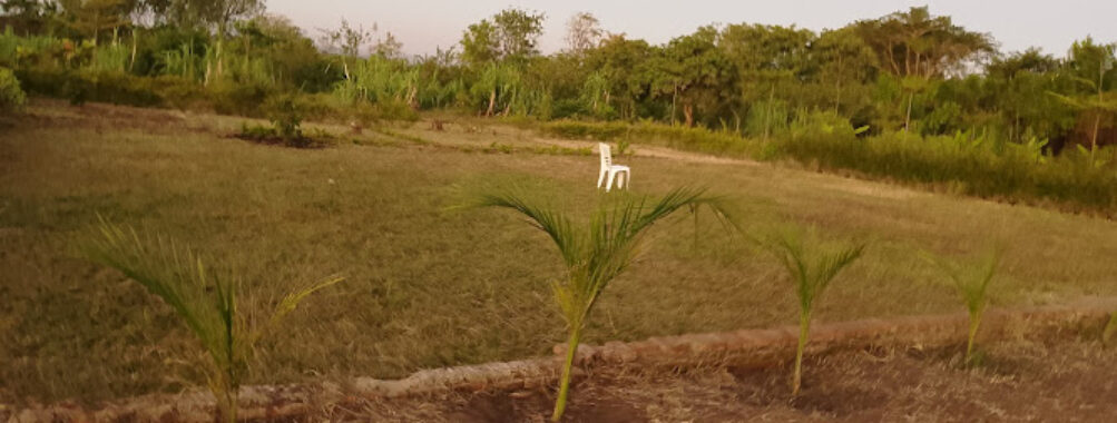 Kapingiri Farms Travel Forum Reviews