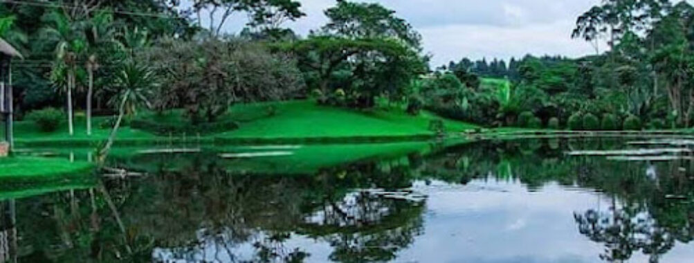 Kapsimotwa Gardens Travel Forum Reviews