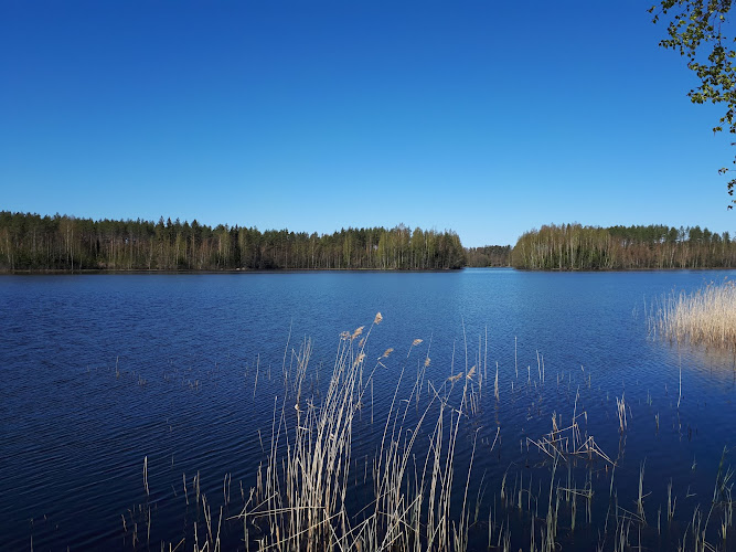 Kärenlaavu Lean-to Shelter