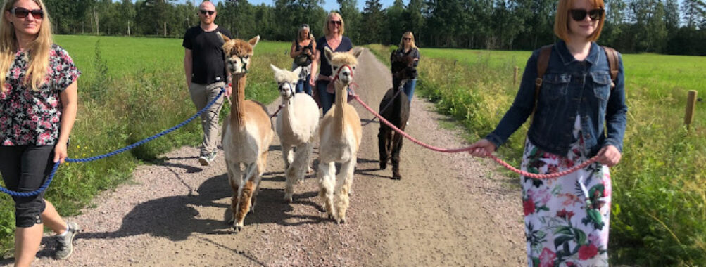 Karlstad Alpackagård Travel Forum Reviews