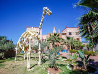Kasbah Ait Oumghar Travel Forum Reviews