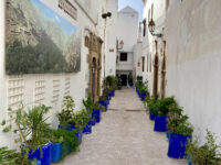 Kasbah des Oudayas Travel Forum Reviews