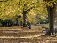 Kasprowicz Park Travel Forum Reviews