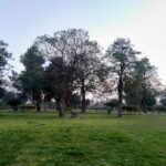 Kasur Garden