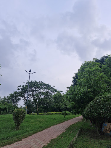 Kathajodi River View