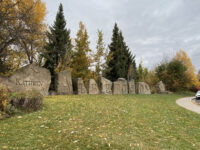 Kathryn Albertson Park Travel Forum Reviews