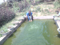 Katunga Park Travel Forum Reviews