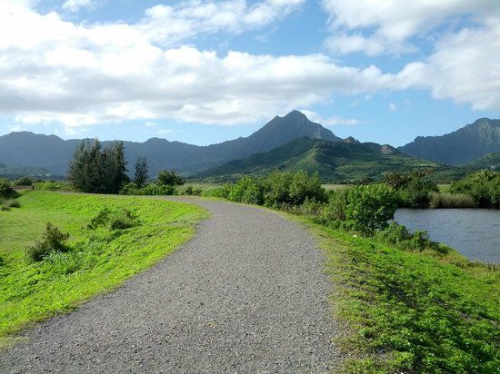 Kawainui Marsh Wildlife Sanctuary