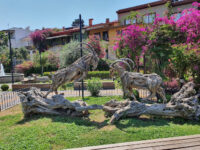 Kecili Park Travel Forum Reviews