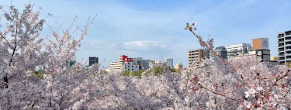 Kema Sakuranomiya Park Travel Forum Reviews