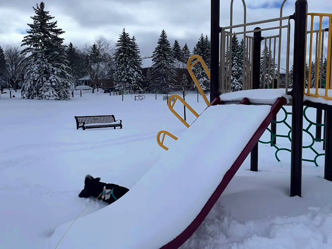 Ken Sturgeon Park