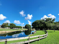 Kendall Green Park Travel Forum Reviews
