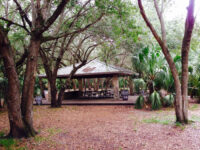 Kendall Indian Hammocks Park Travel Forum Reviews