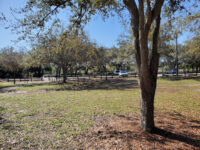 Kendall Indian Hammocks Park Nature Trail Travel Forum Reviews