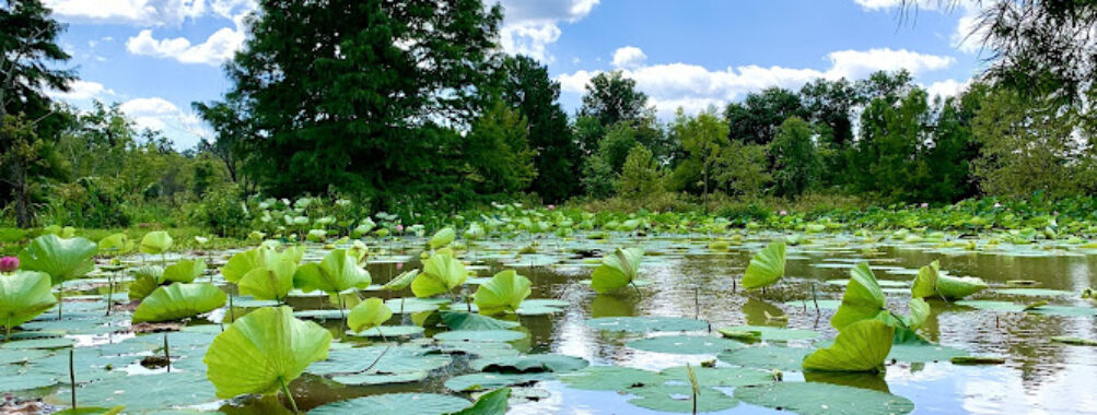 Kenilworth Park & Aquatic Gardens Travel Forum Reviews