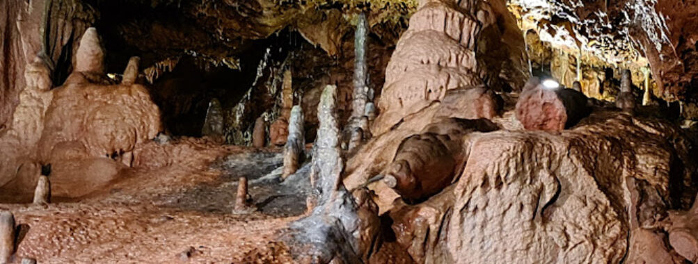 Kents Cavern Prehistoric Caves Travel Forum Reviews