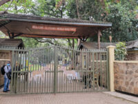Kenya Wildlife Impala Park Travel Forum Reviews