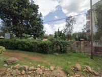 Kericho Lodge Travel Forum Reviews