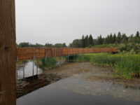 Kerry Wood Nature Centre Travel Forum Reviews