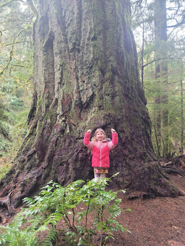 Keta Legacy Foundation Rhododendron Preserve