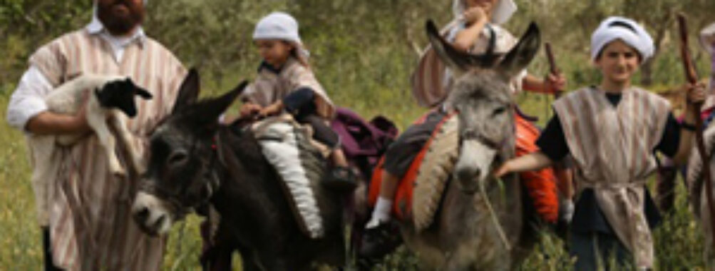 Kfar Kedem Travel Forum Reviews