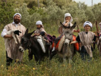 Kfar Kedem Travel Forum Reviews