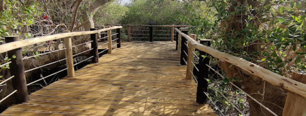 Khor Kalba Mangrove Centre Travel Forum Reviews